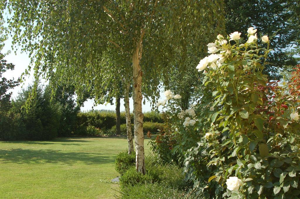 B&B Temenos Parma Zewnętrze zdjęcie
