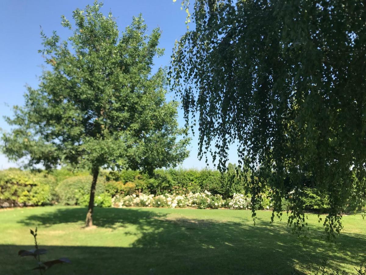 B&B Temenos Parma Zewnętrze zdjęcie